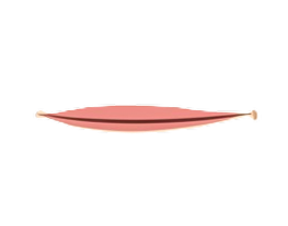 mouth